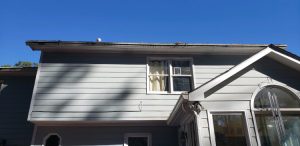 Gutter Cleaning