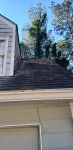 Professional Gutter Cleaning Services