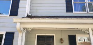 Residential Gutter Cleaning Services